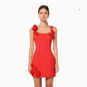 Trompe 3D Floral Mini Dress Red, only worn once